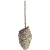 Pomme de pin fourrée de graines et graisse pour oiseaux