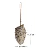 Pomme de pin fourrée de graines et graisse pour oiseaux