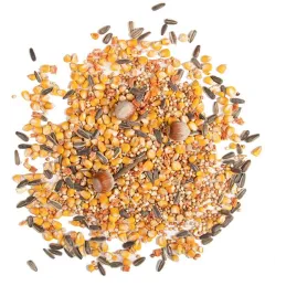 Nourriture pour écureuil Wild 750 gr