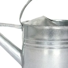 Arrosoir en zinc avec pomme d'arrosage amovible 8 litres