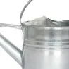 Arrosoir en zinc avec pomme d'arrosage amovible 8 litres