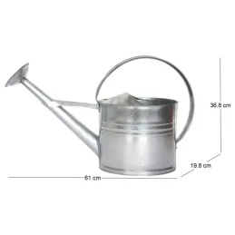 Arrosoir en zinc avec pomme d'arrosage amovible 8 litres