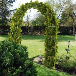 Arche de jardin noire pour plantes grimpantes 200 × 136 cm Atea