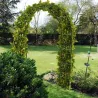 Arche de jardin noire pour plantes grimpantes 200 × 136 cm Atea