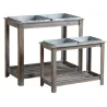 Potager surélevé en bois et métal (Lot de 2)