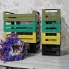 Cagette en métal coloré (Lot de 2)