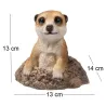 Suricate sortant de terre en résine