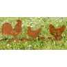 Décor de jardin Poules et Coq en métal vieilli