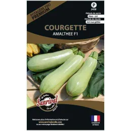 Graines potagères premium courgette