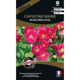 Graines de fleurs premium capucine naine Whirlybird rose