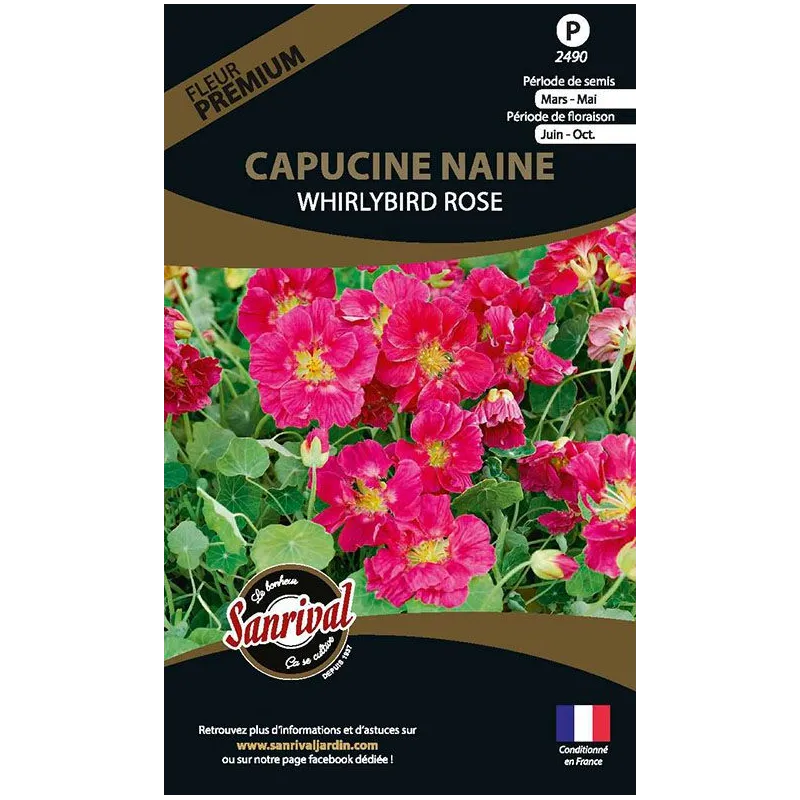 Graines de fleurs premium capucine naine Whirlybird rose
