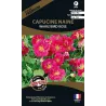 Graines de fleurs premium capucine naine Whirlybird rose