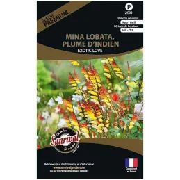 Graines de fleurs premium mina lobata plume d’indien scarlet yellow