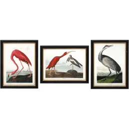 Ensemble de 3 cadres Oiseaux