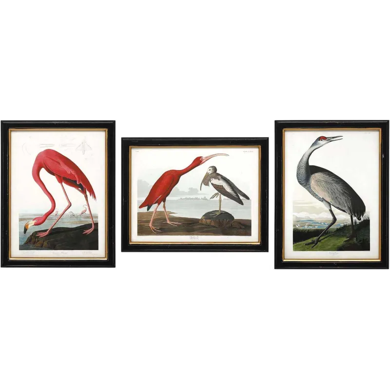 Ensemble de 3 cadres Oiseaux