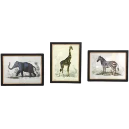Assortiment de 3 cadres Safari
