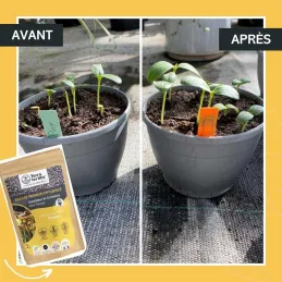 Fertilisant potager à base de mycorhizes 500 gr