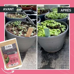Fertilisant plantes et fleurs à base de mycorhizes 500 gr