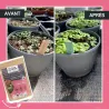 Fertilisant plantes et fleurs à base de mycorhizes 500 gr