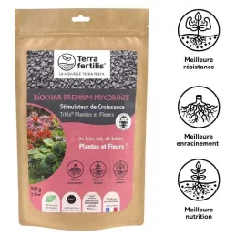Fertilisant plantes et fleurs à base de mycorhizes 500 gr