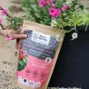 Fertilisant plantes et fleurs à base de mycorhizes 500 gr