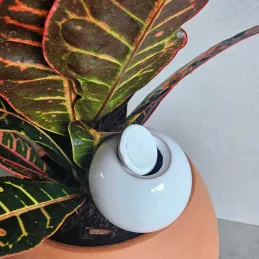 Mini ollas à planter en argile