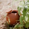 Ollas à planter en argile Medium