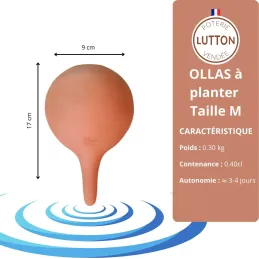 Ollas à planter en argile Medium