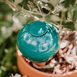 Ollas à planter en argile Medium