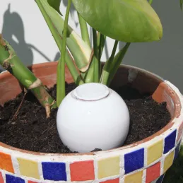 Ollas à planter en argile Medium