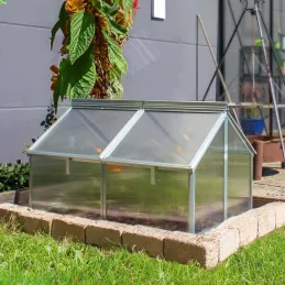 Serre potagère en polycarbonate 4 mm et aluminium Gaia Jumbo