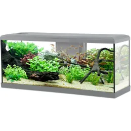 Kit aquarium Tana 120L