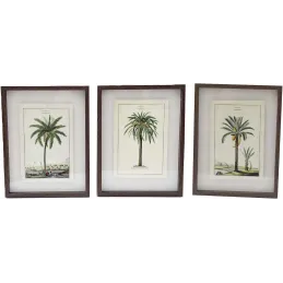 Ensemble de 3 cadres 30 x 40 cm Palmiers