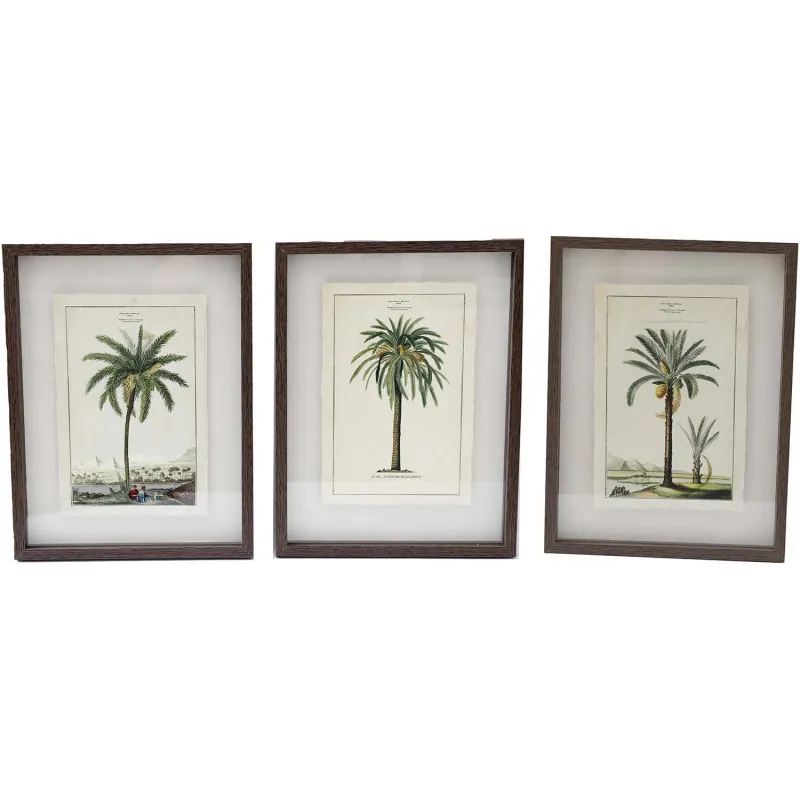 Ensemble de 3 cadres 30 x 40 cm Palmiers