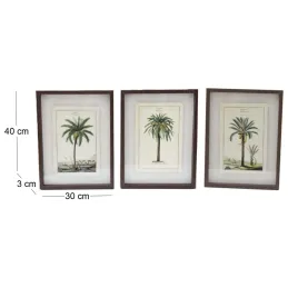 Ensemble de 3 cadres 30 x 40 cm Palmiers