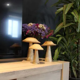 Champignon déco en manguier