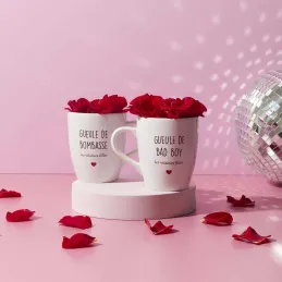 Coffret 2 mugs inscriptions humour