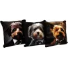 Coussin imprimé chiens Fluffy 45 x 45 cm (Lot de 3)
