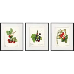 Tableau décoratif Fruits 20 x 25 cm (Lot de 3)
