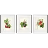 Tableau décoratif Fruits 20 x 25 cm (Lot de 3)