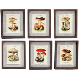 Tableaux décoratifs champignons 30 x 40 cm (Lot de 6)