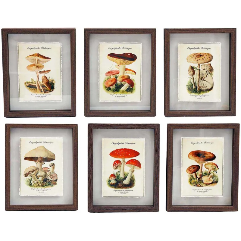 Tableaux décoratifs champignons 30 x 40 cm (Lot de 6)