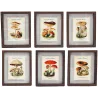 Tableaux décoratifs champignons 30 x 40 cm (Lot de 6)