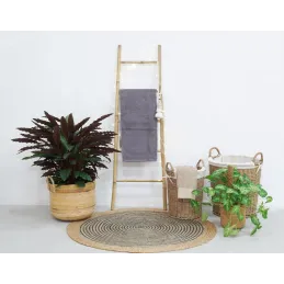 Cache-pot ronds en poelet (Lot de 3)