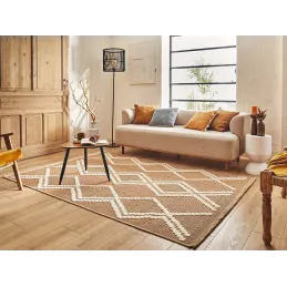 Tapis intérieur extérieur aspect jute terracotta Tijuana 9048