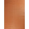 Tapis extérieur en polypropylène Spargi 1747 terra