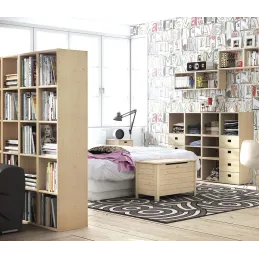 Coffre de rangement en pin 85L