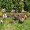 Statue de Coq en métal coloré