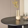Table de repas extensible Strada
