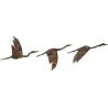 Oiseaux décoratifs en métal Rusty Birds (Lot de 3)